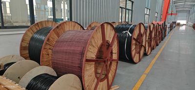 Shandong Jinyu Cable Co., Ltd. linia produkcyjna producenta